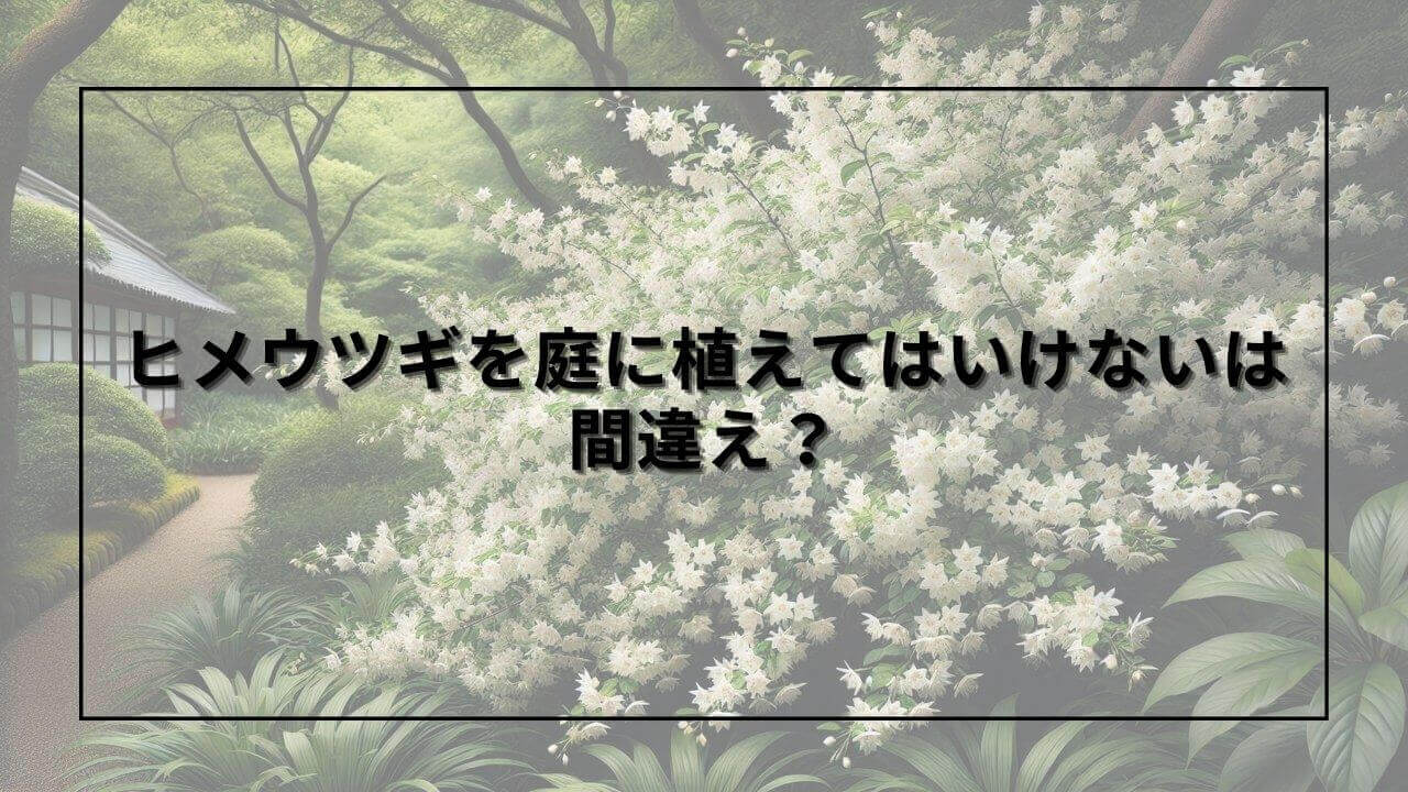 ヒメウヅキとタイトルが入った画像